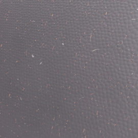 Asam_S