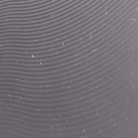 Zen_L
