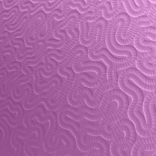 ML18263 Coral