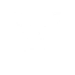 Dynafit è il marchio del leopardo delle nevi