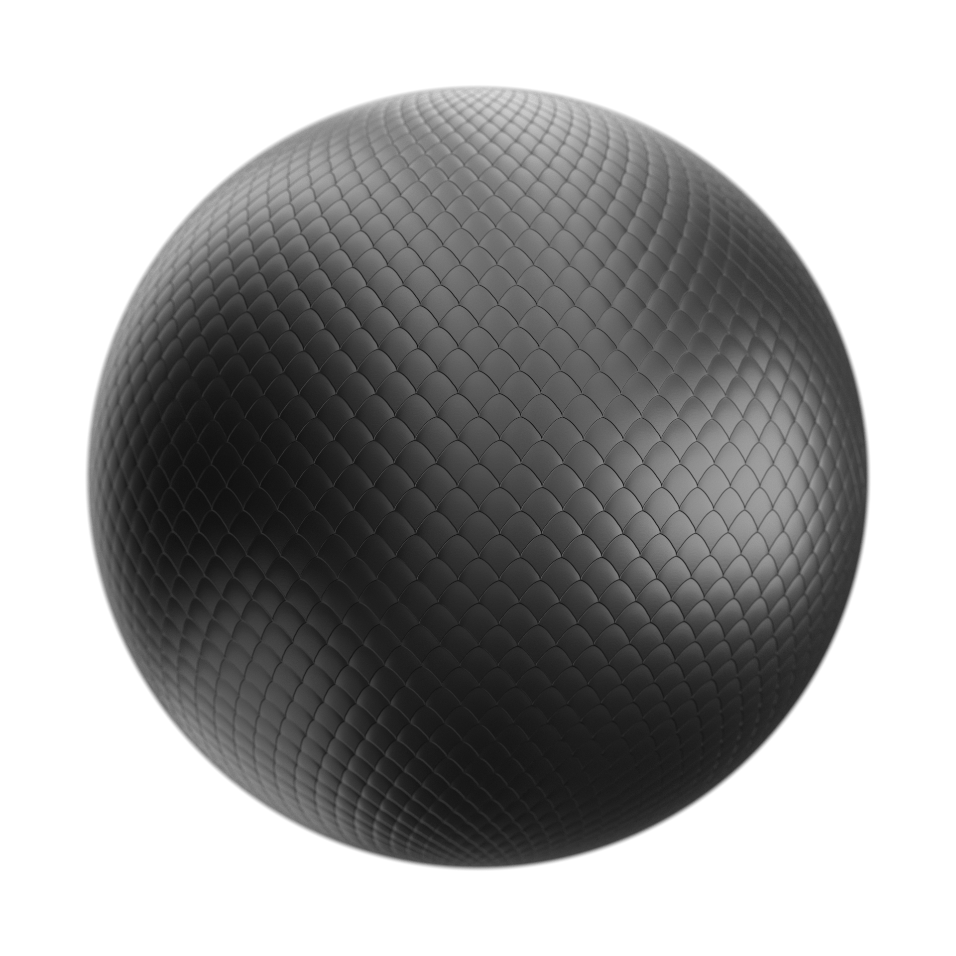 Sceloporo