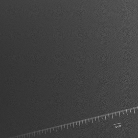 Kasturi_I-L