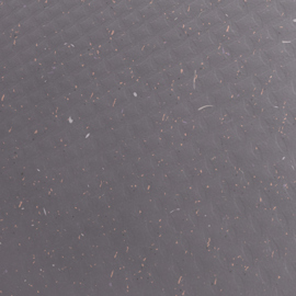 Bolsereia