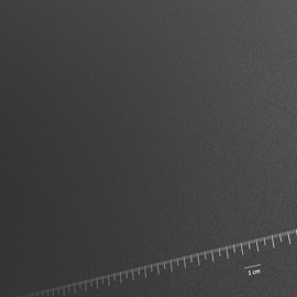 Kasturi_I-S