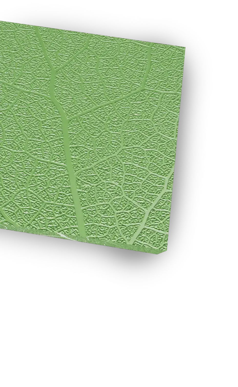 Esempio di superficie incisa con il laser in una texture che ricorda elementi vegetali